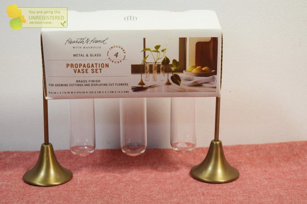 Hearth & Hand with Magnolia Brass and Glass Plant Propagation Vase Set